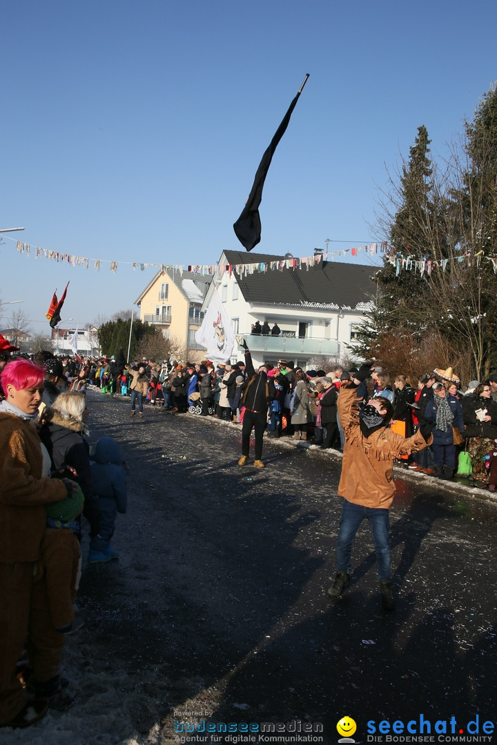 Fastnachtsumzug: Horgenzell bei Ravensburg am Bodensee, 22.01.2017