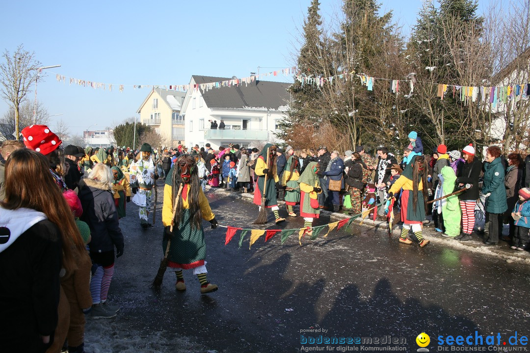 Fastnachtsumzug: Horgenzell bei Ravensburg am Bodensee, 22.01.2017