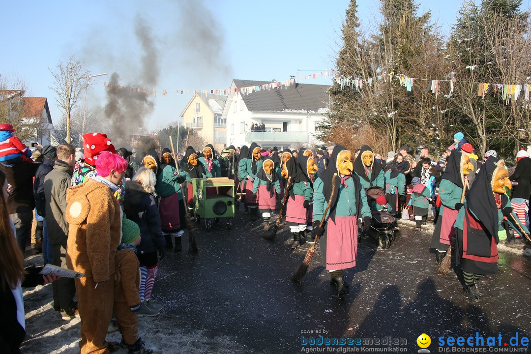 Fastnachtsumzug: Horgenzell bei Ravensburg am Bodensee, 22.01.2017