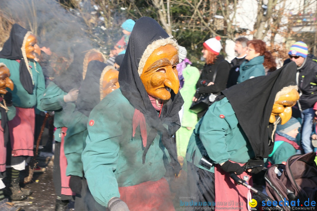 Fastnachtsumzug: Horgenzell bei Ravensburg am Bodensee, 22.01.2017