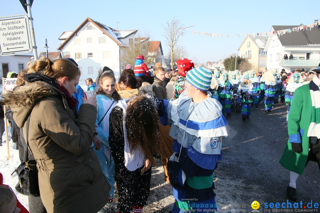 Fastnachtsumzug: Horgenzell bei Ravensburg am Bodensee, 22.01.2017