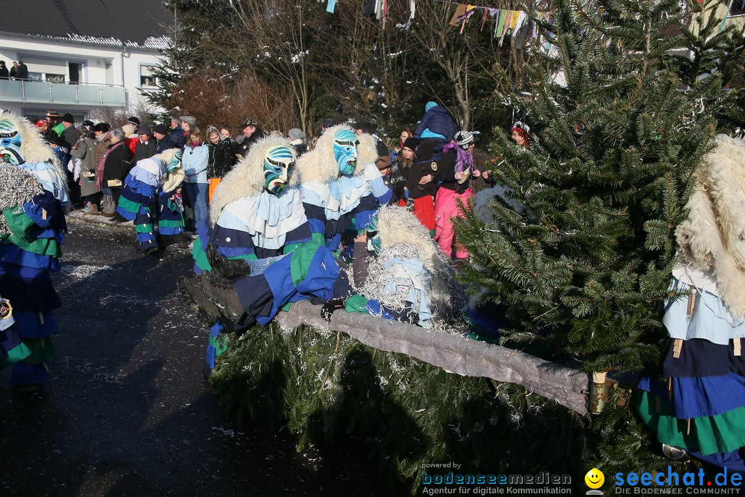 Fastnachtsumzug: Horgenzell bei Ravensburg am Bodensee, 22.01.2017