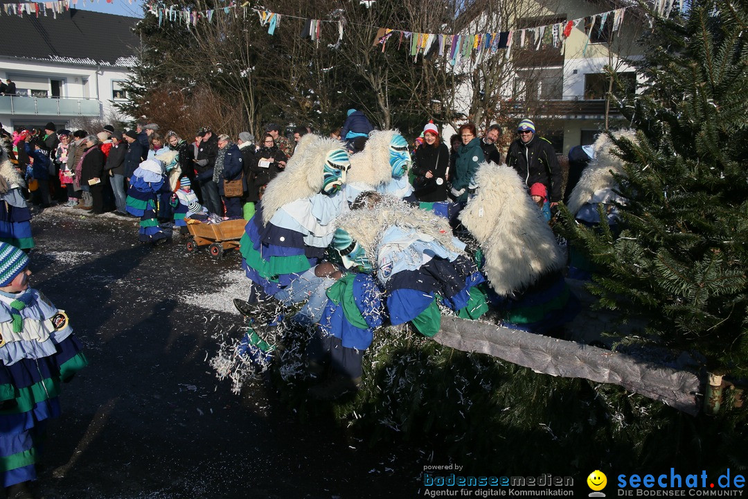 Fastnachtsumzug: Horgenzell bei Ravensburg am Bodensee, 22.01.2017