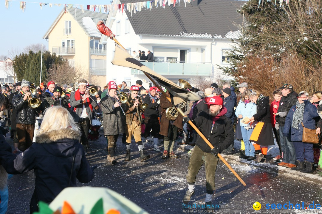 Fastnachtsumzug: Horgenzell bei Ravensburg am Bodensee, 22.01.2017