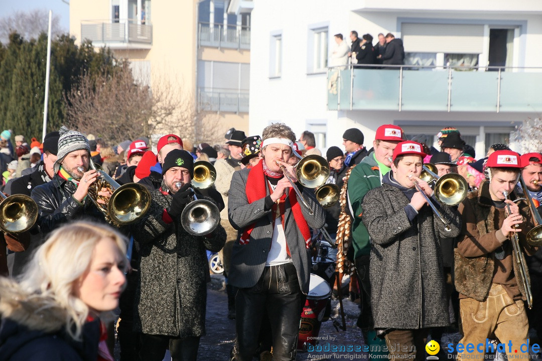 Fastnachtsumzug: Horgenzell bei Ravensburg am Bodensee, 22.01.2017