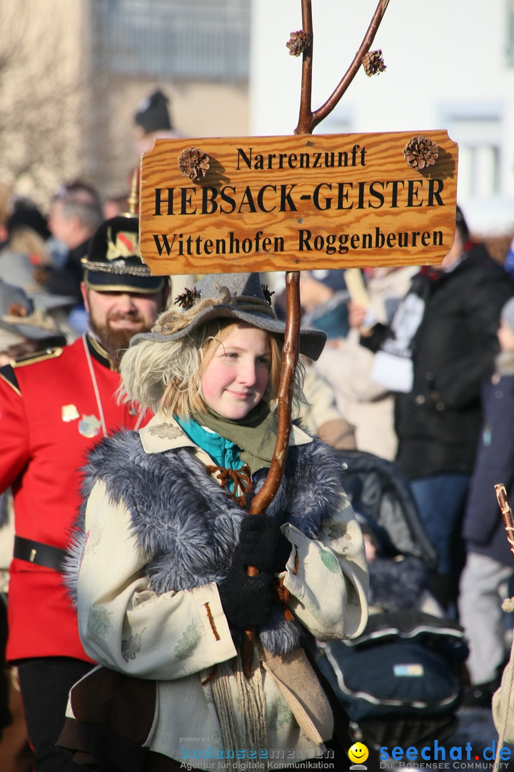 Fastnachtsumzug: Horgenzell bei Ravensburg am Bodensee, 22.01.2017