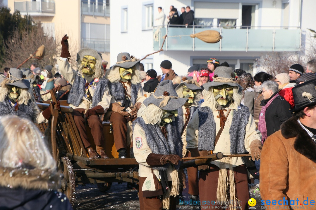 Fastnachtsumzug: Horgenzell bei Ravensburg am Bodensee, 22.01.2017