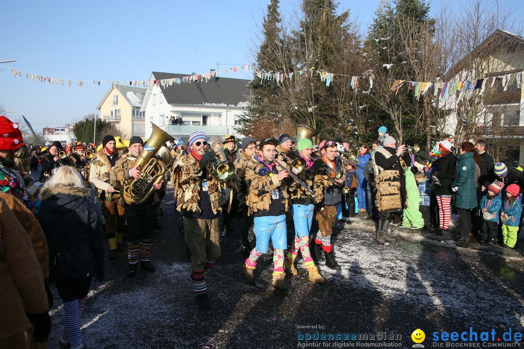 Fastnachtsumzug: Horgenzell bei Ravensburg am Bodensee, 22.01.2017