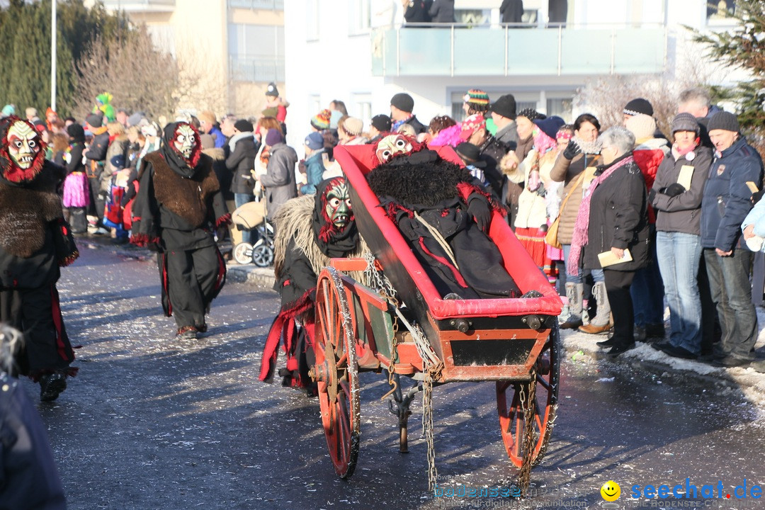 Fastnachtsumzug: Horgenzell bei Ravensburg am Bodensee, 22.01.2017