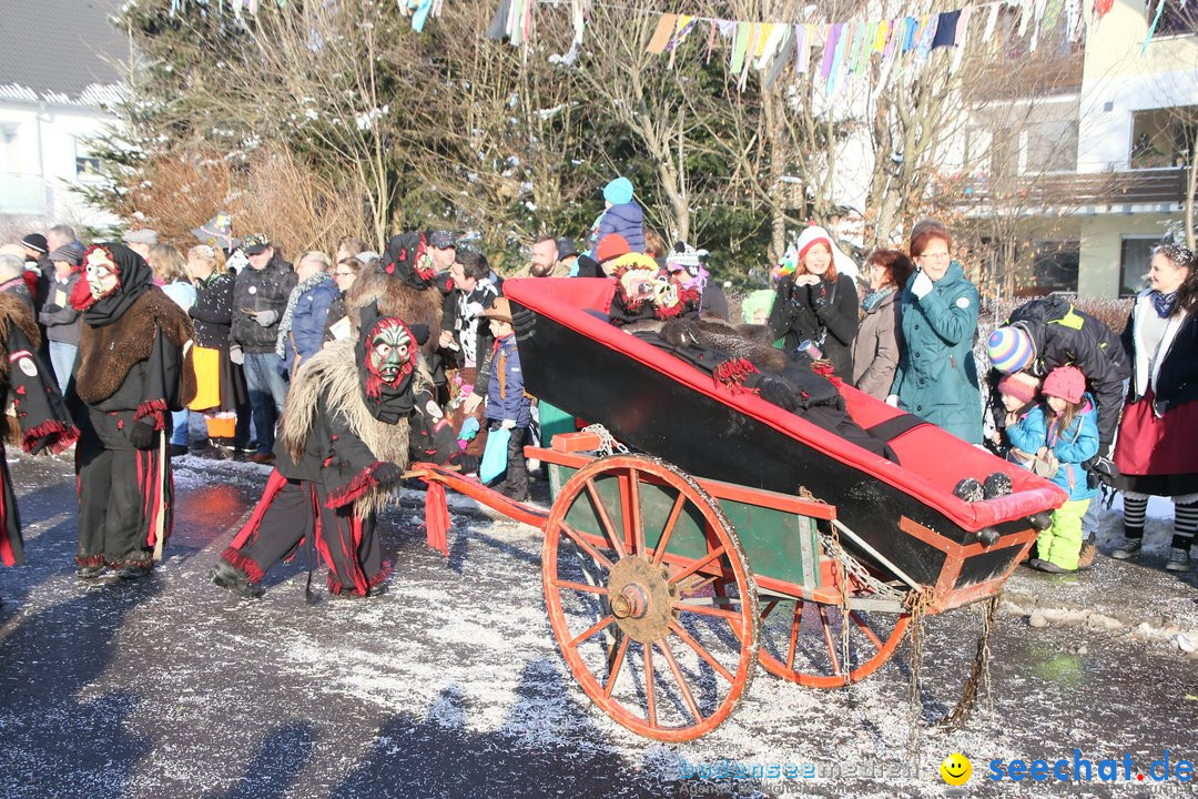 Fastnachtsumzug: Horgenzell bei Ravensburg am Bodensee, 22.01.2017