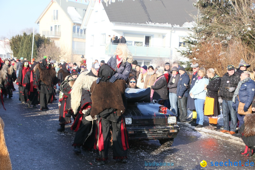 Fastnachtsumzug: Horgenzell bei Ravensburg am Bodensee, 22.01.2017