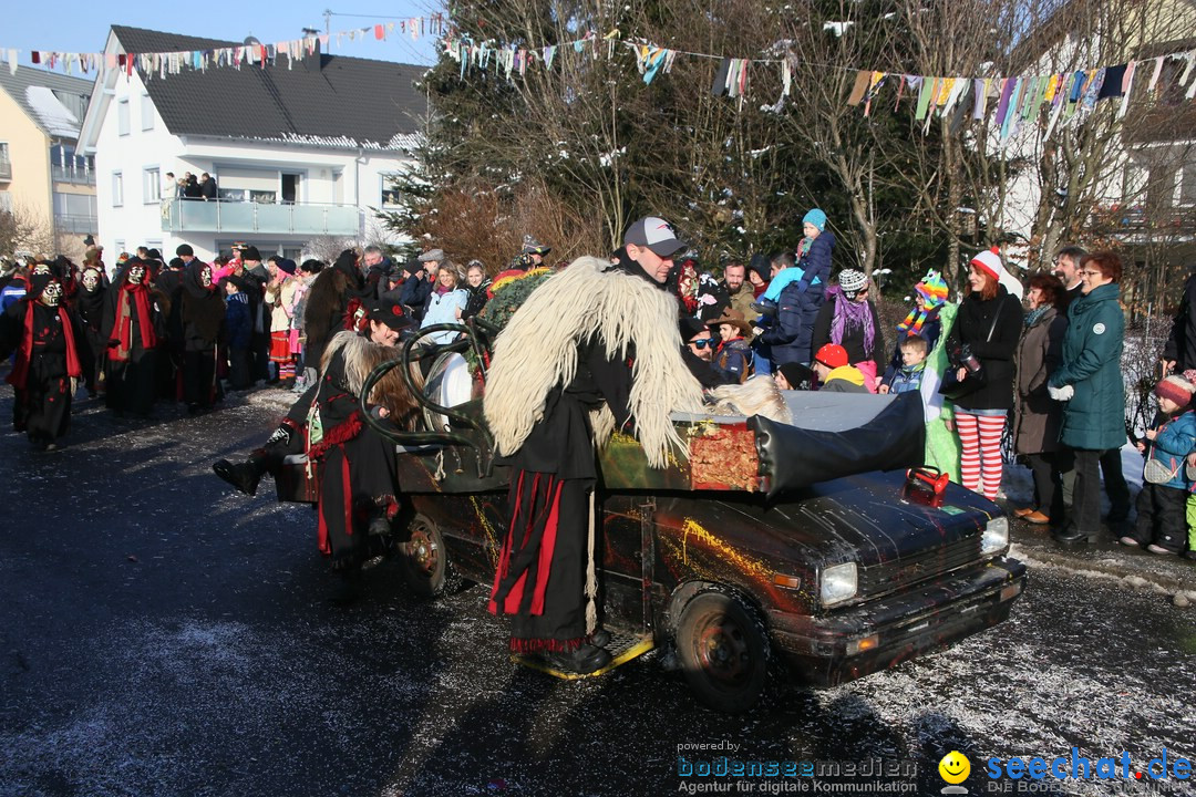 Fastnachtsumzug: Horgenzell bei Ravensburg am Bodensee, 22.01.2017