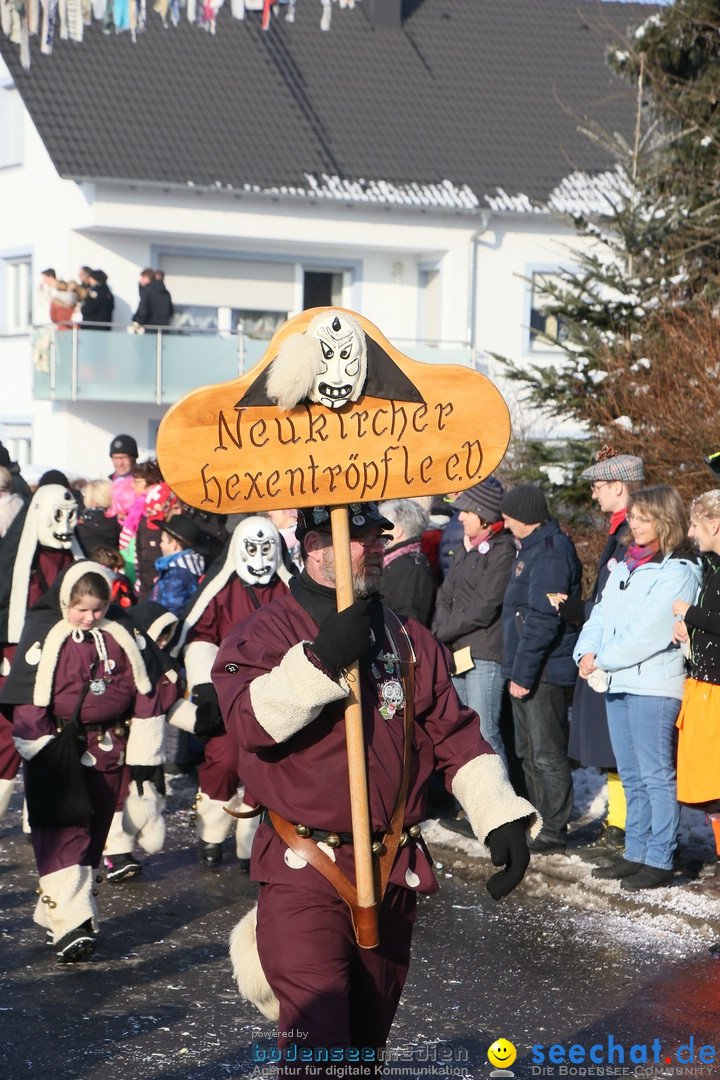 Fastnachtsumzug: Horgenzell bei Ravensburg am Bodensee, 22.01.2017