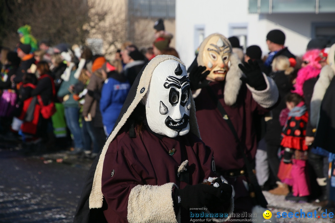 Fastnachtsumzug: Horgenzell bei Ravensburg am Bodensee, 22.01.2017