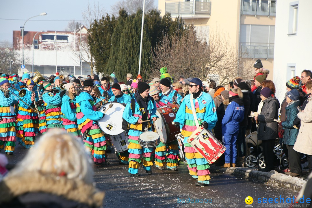 Fastnachtsumzug: Horgenzell bei Ravensburg am Bodensee, 22.01.2017