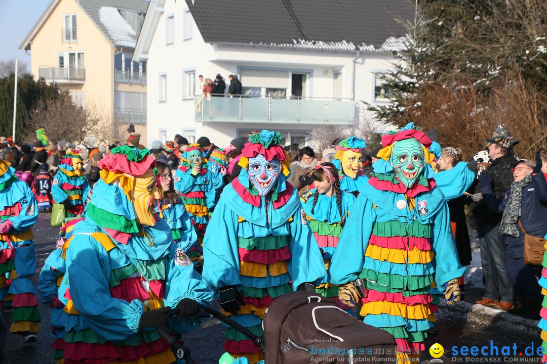 Fastnachtsumzug: Horgenzell bei Ravensburg am Bodensee, 22.01.2017