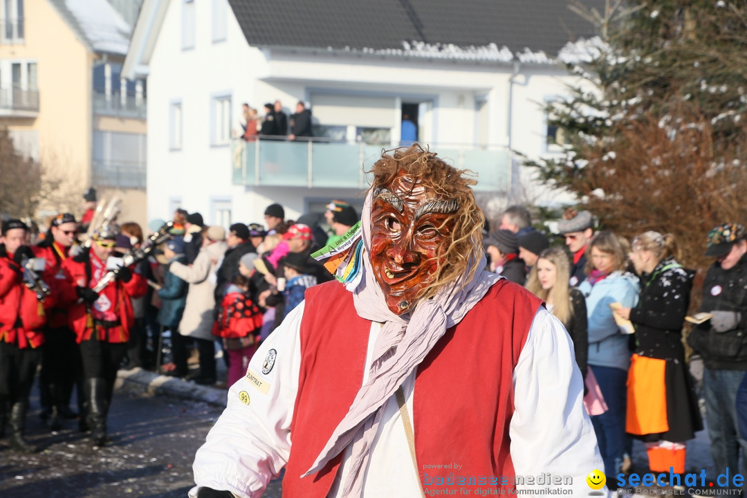 Fastnachtsumzug: Horgenzell bei Ravensburg am Bodensee, 22.01.2017