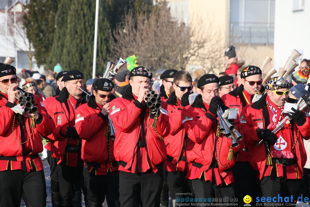 Fastnachtsumzug: Horgenzell bei Ravensburg am Bodensee, 22.01.2017