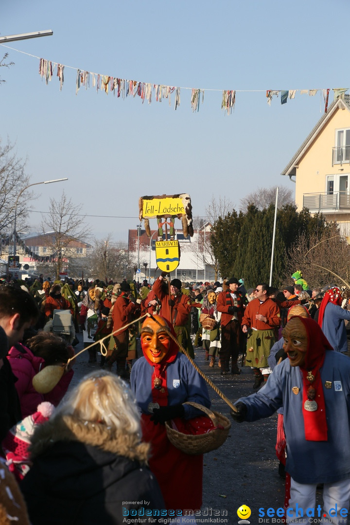 Fastnachtsumzug: Horgenzell bei Ravensburg am Bodensee, 22.01.2017