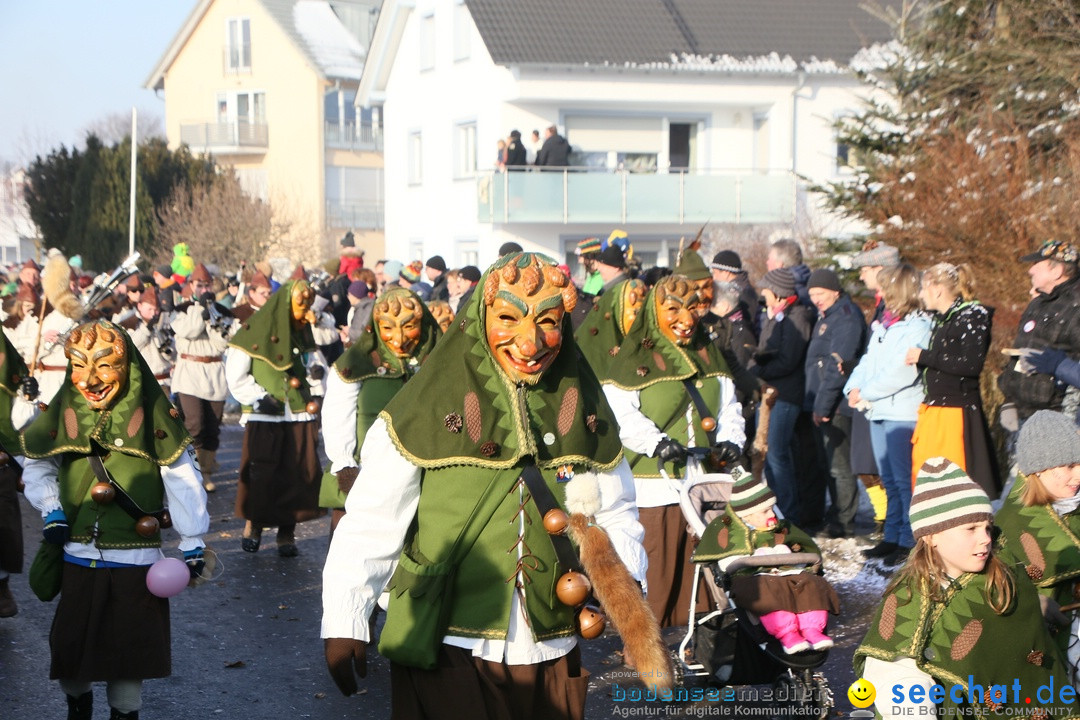 Fastnachtsumzug: Horgenzell bei Ravensburg am Bodensee, 22.01.2017