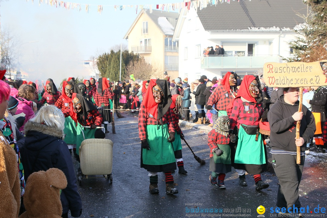 Fastnachtsumzug: Horgenzell bei Ravensburg am Bodensee, 22.01.2017