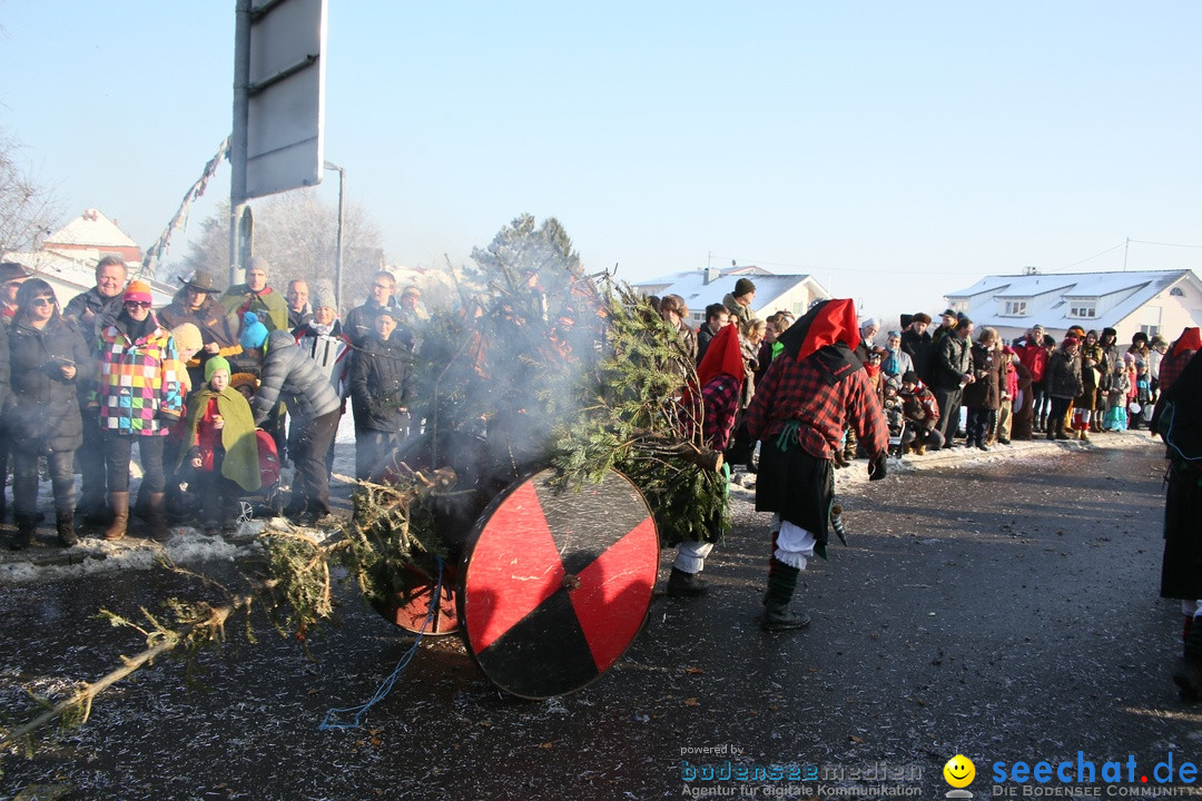 Fastnachtsumzug: Horgenzell bei Ravensburg am Bodensee, 22.01.2017