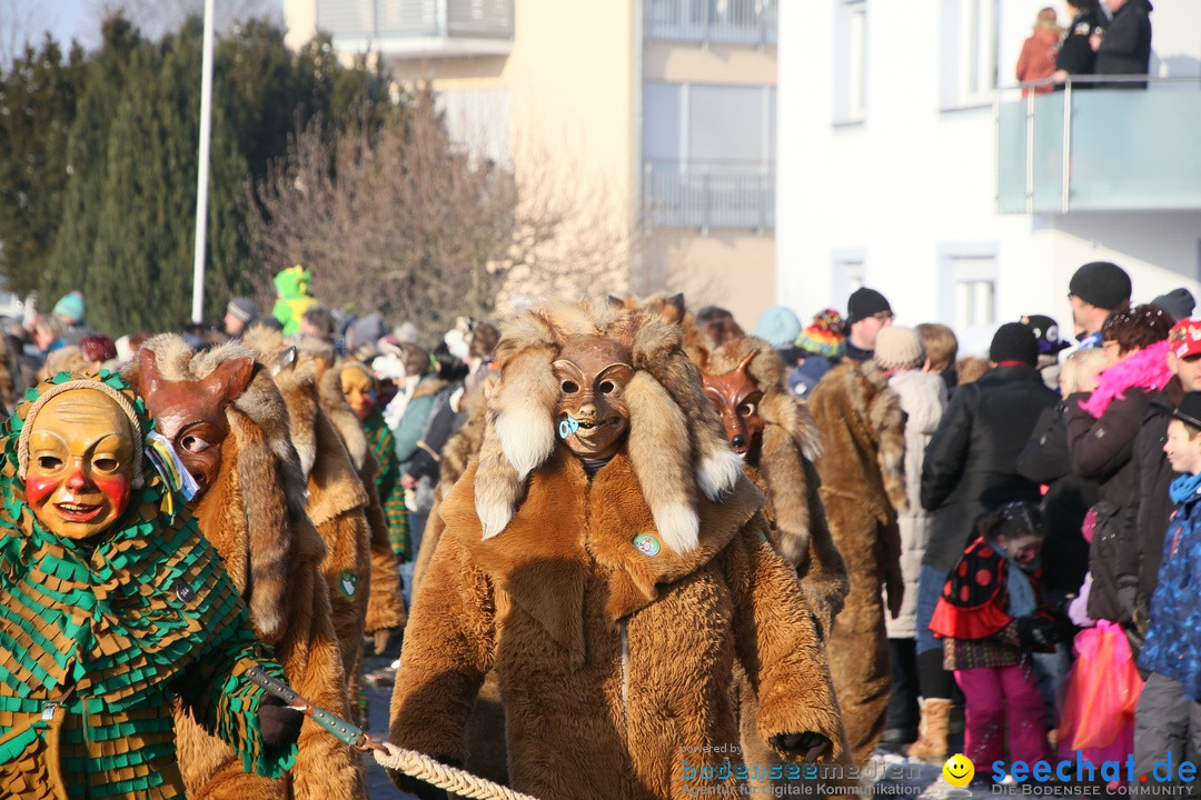 Fastnachtsumzug: Horgenzell bei Ravensburg am Bodensee, 22.01.2017