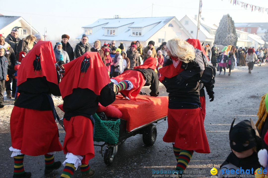 Fastnachtsumzug: Horgenzell bei Ravensburg am Bodensee, 22.01.2017