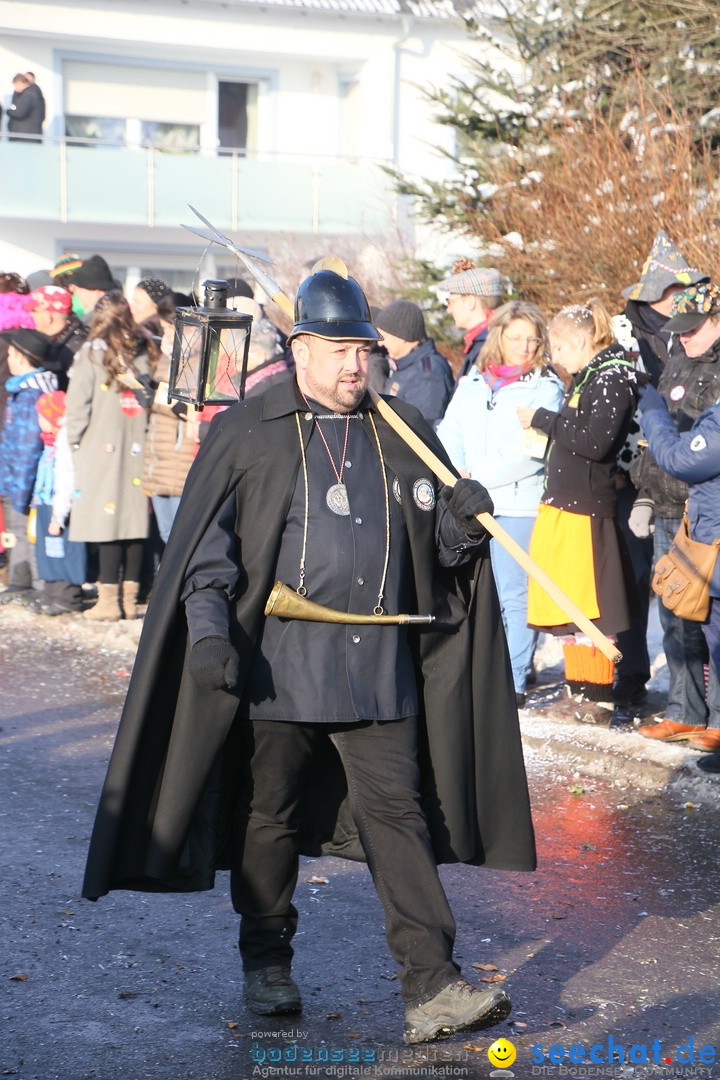 Fastnachtsumzug: Horgenzell bei Ravensburg am Bodensee, 22.01.2017