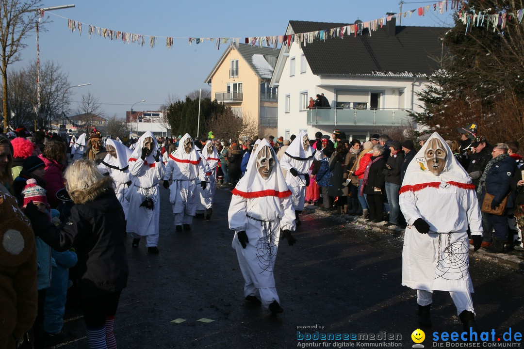 Fastnachtsumzug: Horgenzell bei Ravensburg am Bodensee, 22.01.2017