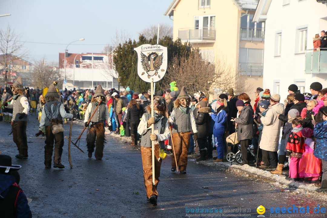 Fastnachtsumzug: Horgenzell bei Ravensburg am Bodensee, 22.01.2017