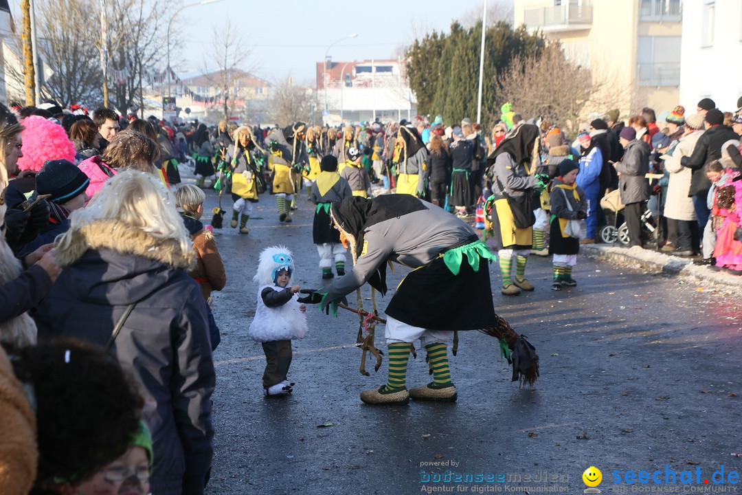 Fastnachtsumzug: Horgenzell bei Ravensburg am Bodensee, 22.01.2017