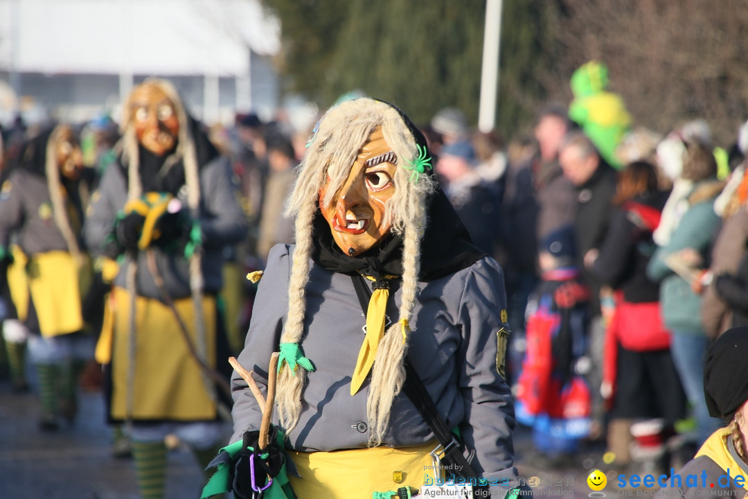 Fastnachtsumzug: Horgenzell bei Ravensburg am Bodensee, 22.01.2017