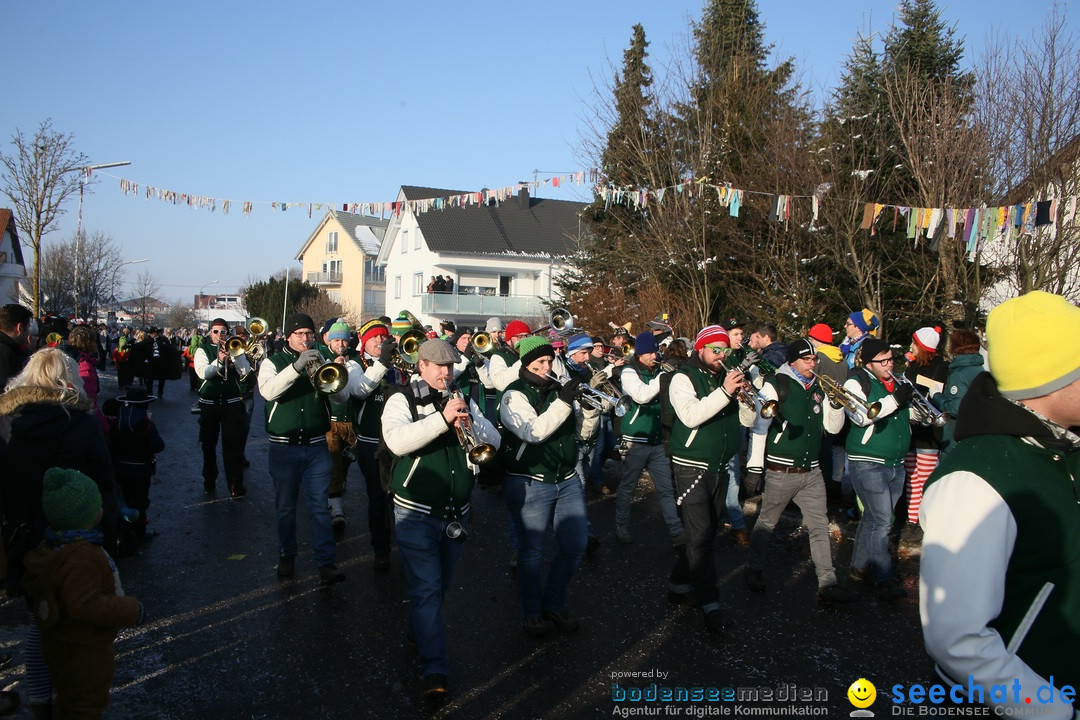 Fastnachtsumzug: Horgenzell bei Ravensburg am Bodensee, 22.01.2017