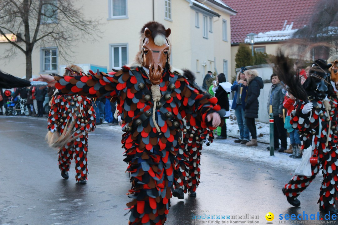 Daemmerungsumzug-Herdwangen-28-01-2017-Bodensee-Community-SEECHAT_de-IMG_1244.JPG