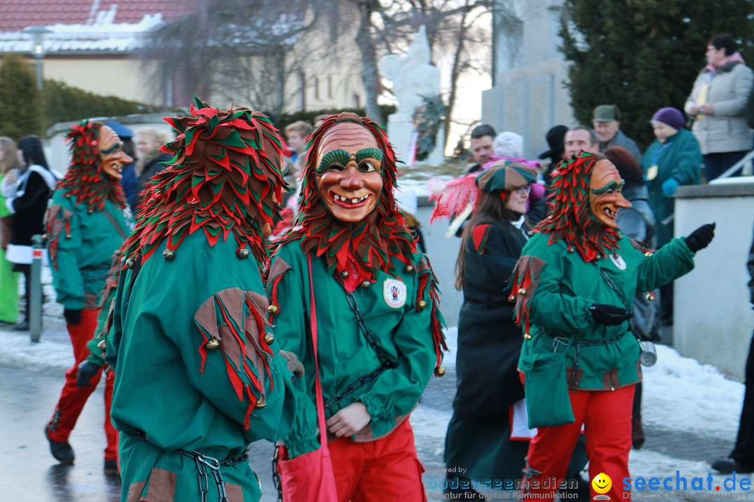 Daemmerungsumzug-Herdwangen-28-01-2017-Bodensee-Community-SEECHAT_de-IMG_1253.JPG