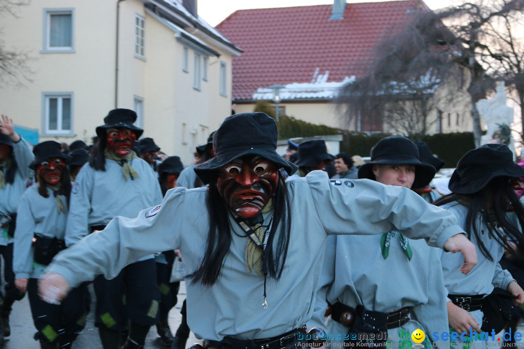 Daemmerungsumzug-Herdwangen-28-01-2017-Bodensee-Community-SEECHAT_de-IMG_1285.JPG