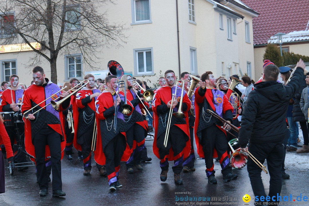 Daemmerungsumzug-Herdwangen-28-01-2017-Bodensee-Community-SEECHAT_de-IMG_1289.JPG