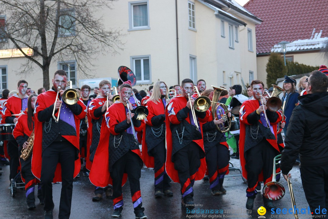 Daemmerungsumzug-Herdwangen-28-01-2017-Bodensee-Community-SEECHAT_de-IMG_1290.JPG