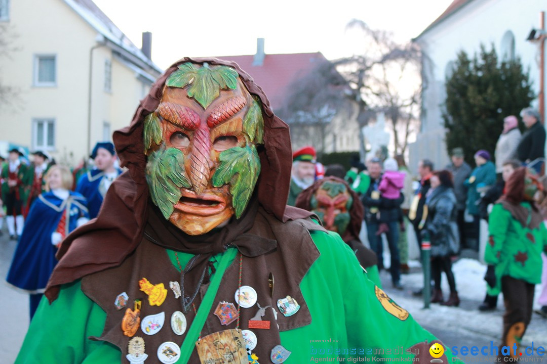 Daemmerungsumzug-Herdwangen-28-01-2017-Bodensee-Community-SEECHAT_de-IMG_1298.JPG