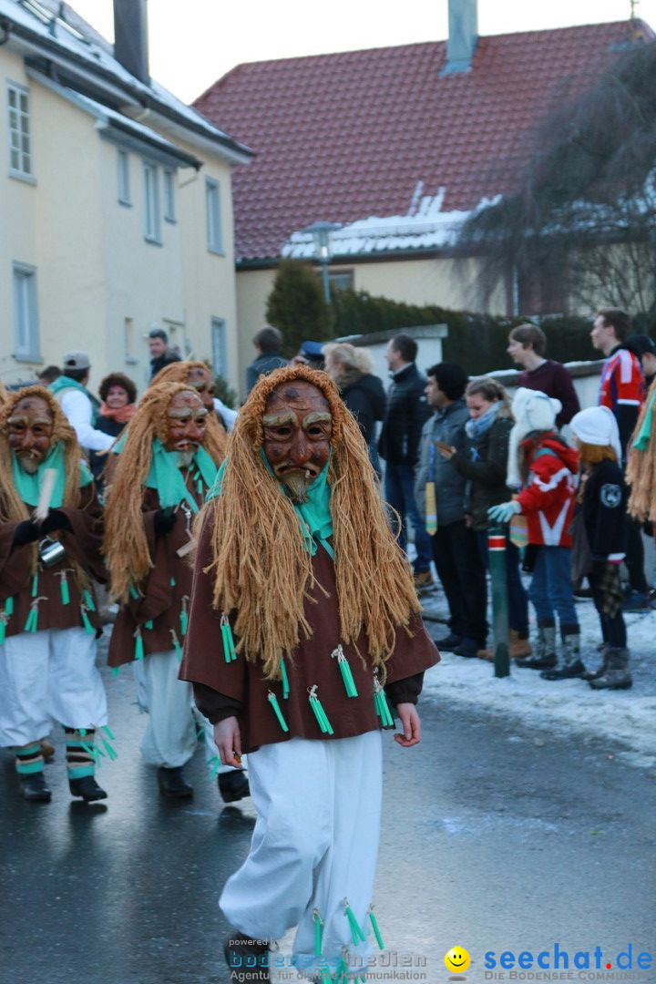 Daemmerungsumzug-Herdwangen-28-01-2017-Bodensee-Community-SEECHAT_de-IMG_1313.JPG