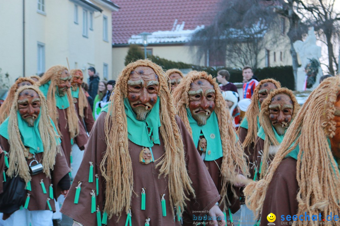 Daemmerungsumzug-Herdwangen-28-01-2017-Bodensee-Community-SEECHAT_de-IMG_1314.JPG