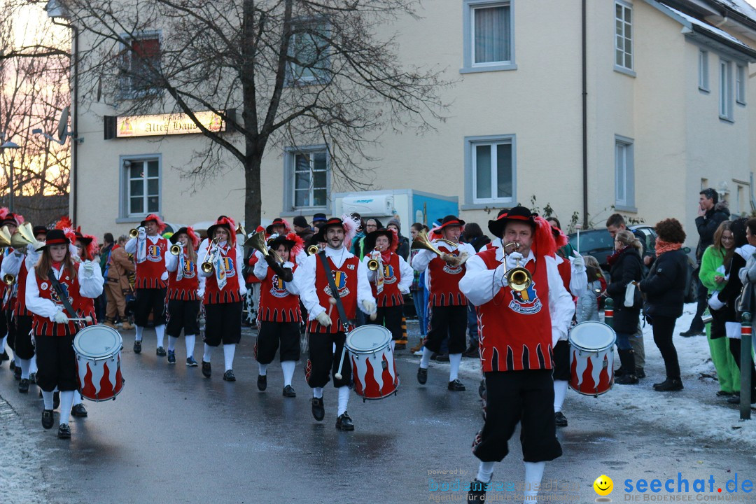 Daemmerungsumzug-Herdwangen-28-01-2017-Bodensee-Community-SEECHAT_de-IMG_1315.JPG