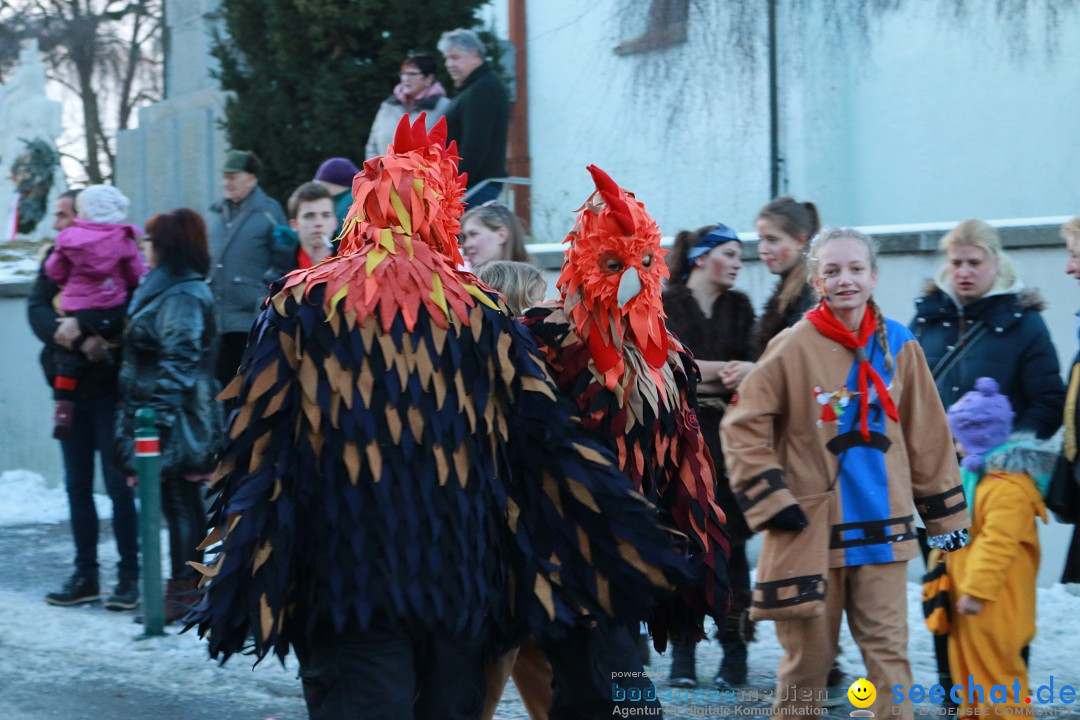 Daemmerungsumzug-Herdwangen-28-01-2017-Bodensee-Community-SEECHAT_de-IMG_1320.JPG