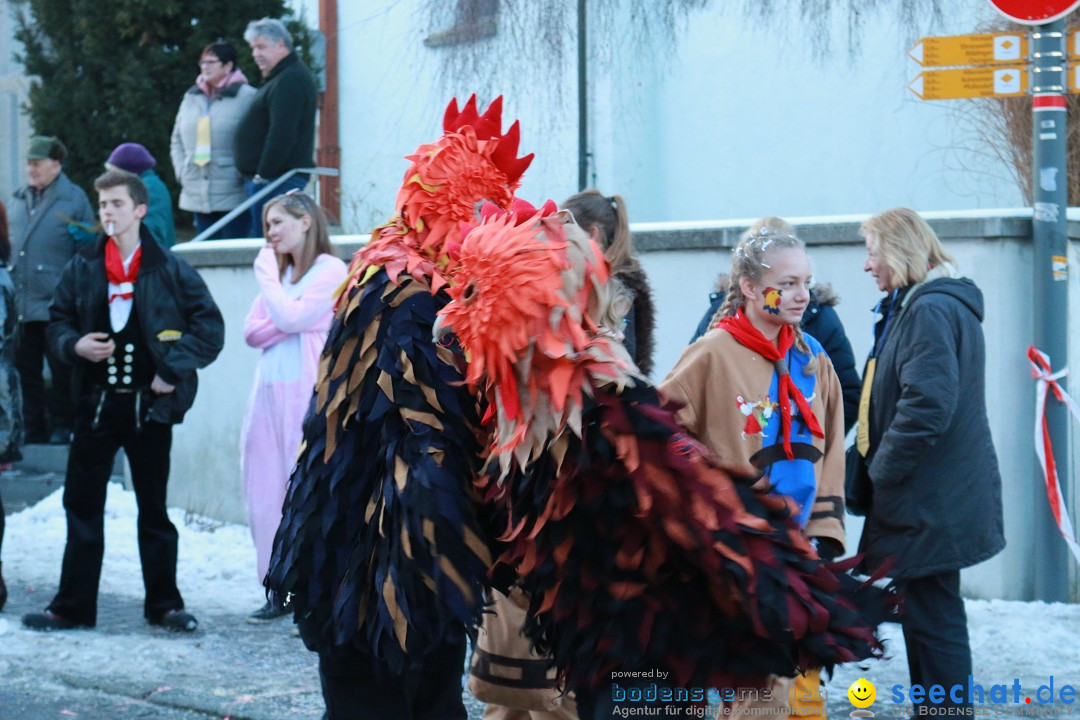 Daemmerungsumzug-Herdwangen-28-01-2017-Bodensee-Community-SEECHAT_de-IMG_1321.JPG