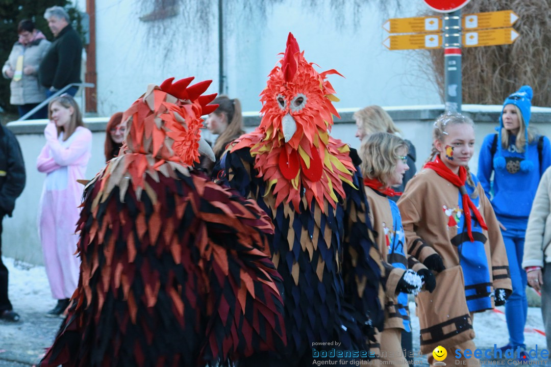 Daemmerungsumzug-Herdwangen-28-01-2017-Bodensee-Community-SEECHAT_de-IMG_1322.JPG