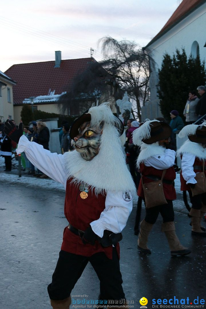 Daemmerungsumzug-Herdwangen-28-01-2017-Bodensee-Community-SEECHAT_de-IMG_1330.JPG