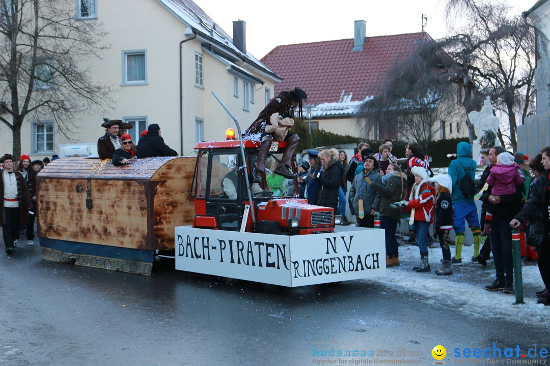 Daemmerungsumzug-Herdwangen-28-01-2017-Bodensee-Community-SEECHAT_de-IMG_1331.JPG