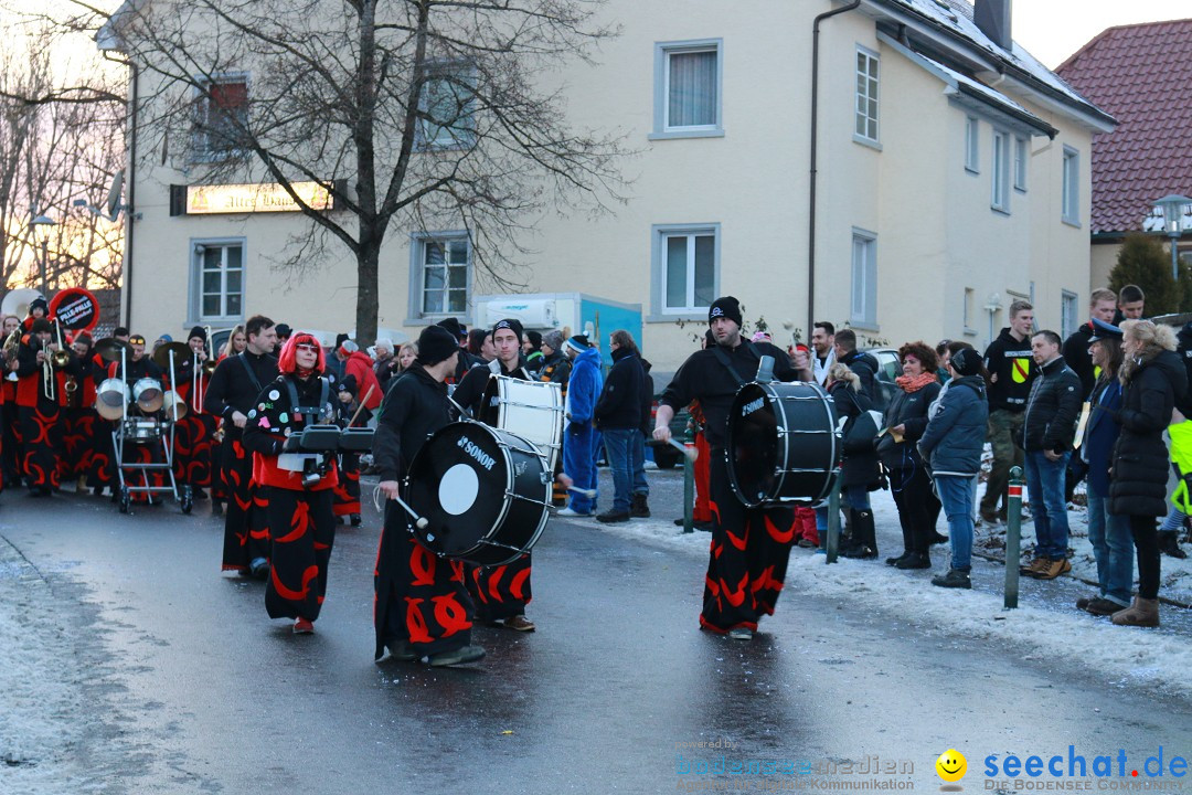 Daemmerungsumzug-Herdwangen-28-01-2017-Bodensee-Community-SEECHAT_de-IMG_1335.JPG