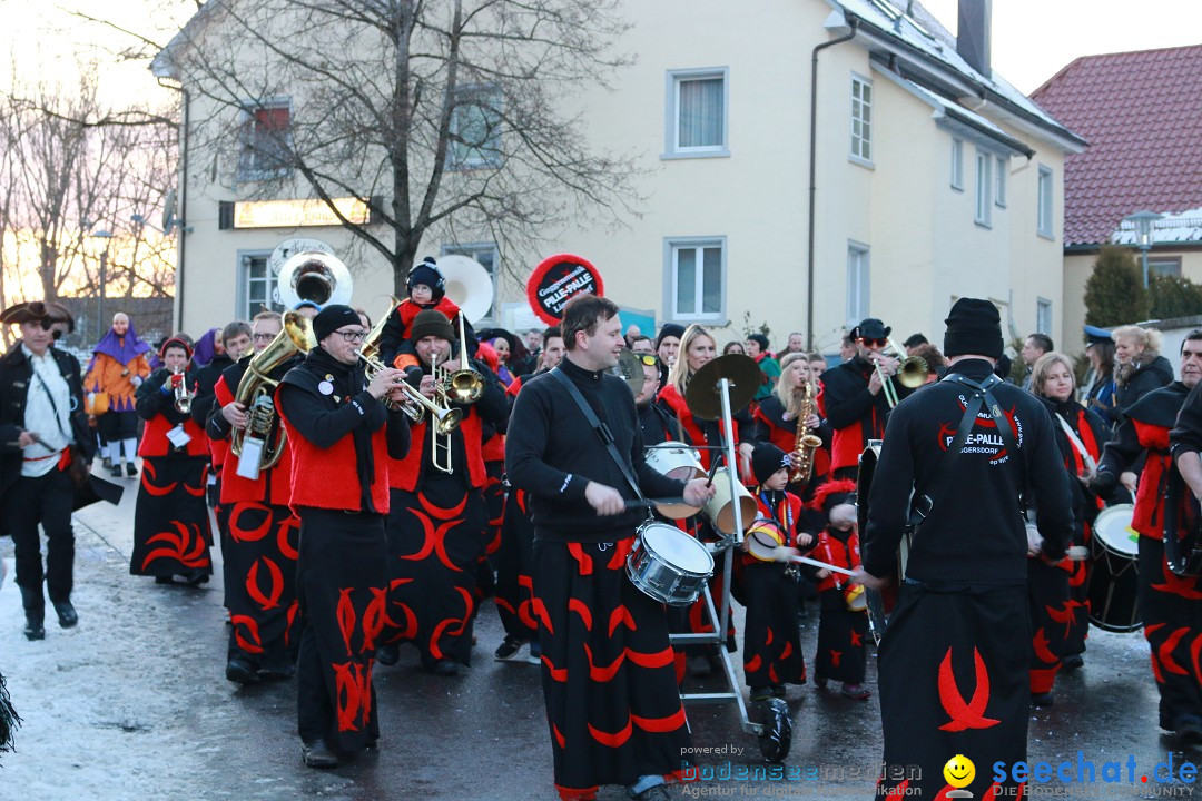 Daemmerungsumzug-Herdwangen-28-01-2017-Bodensee-Community-SEECHAT_de-IMG_1336.JPG